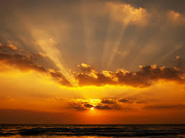 El Laberinto del Afecto y la Sombra del Recuerdo: La Dignidad Innegociable del Alma